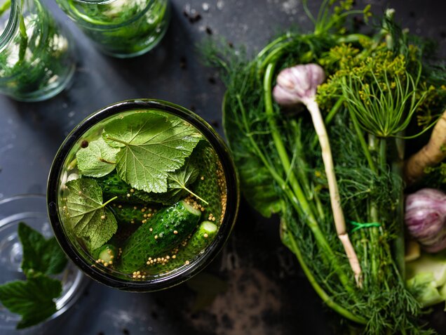 fermenting cucumbers