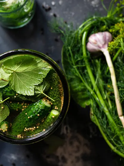 fermenting cucumbers