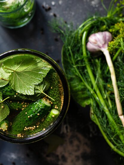 fermenting cucumbers