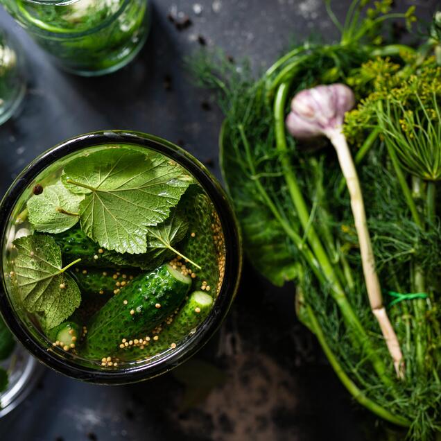 fermenting cucumbers