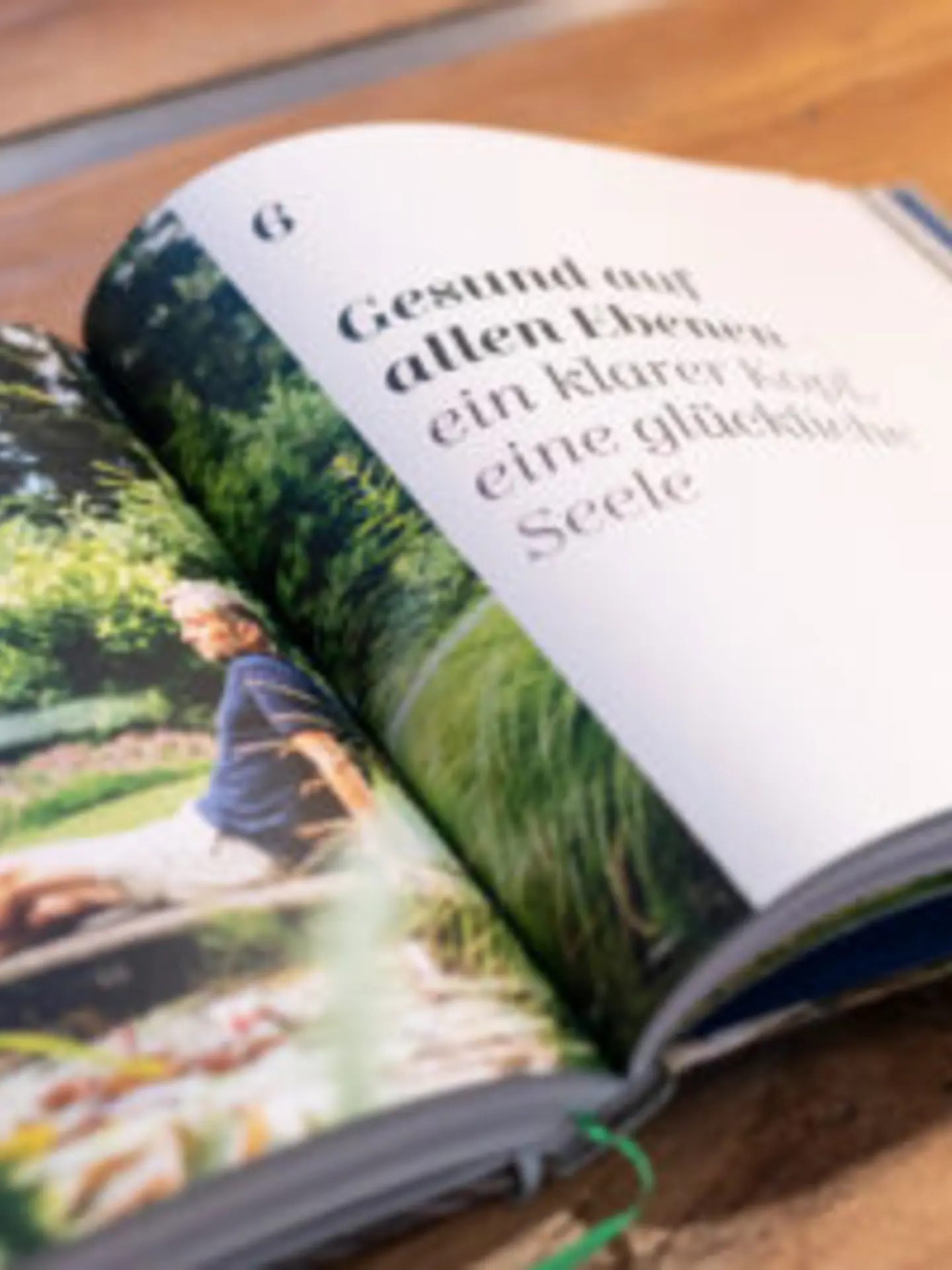 Buchcover Gesundheit