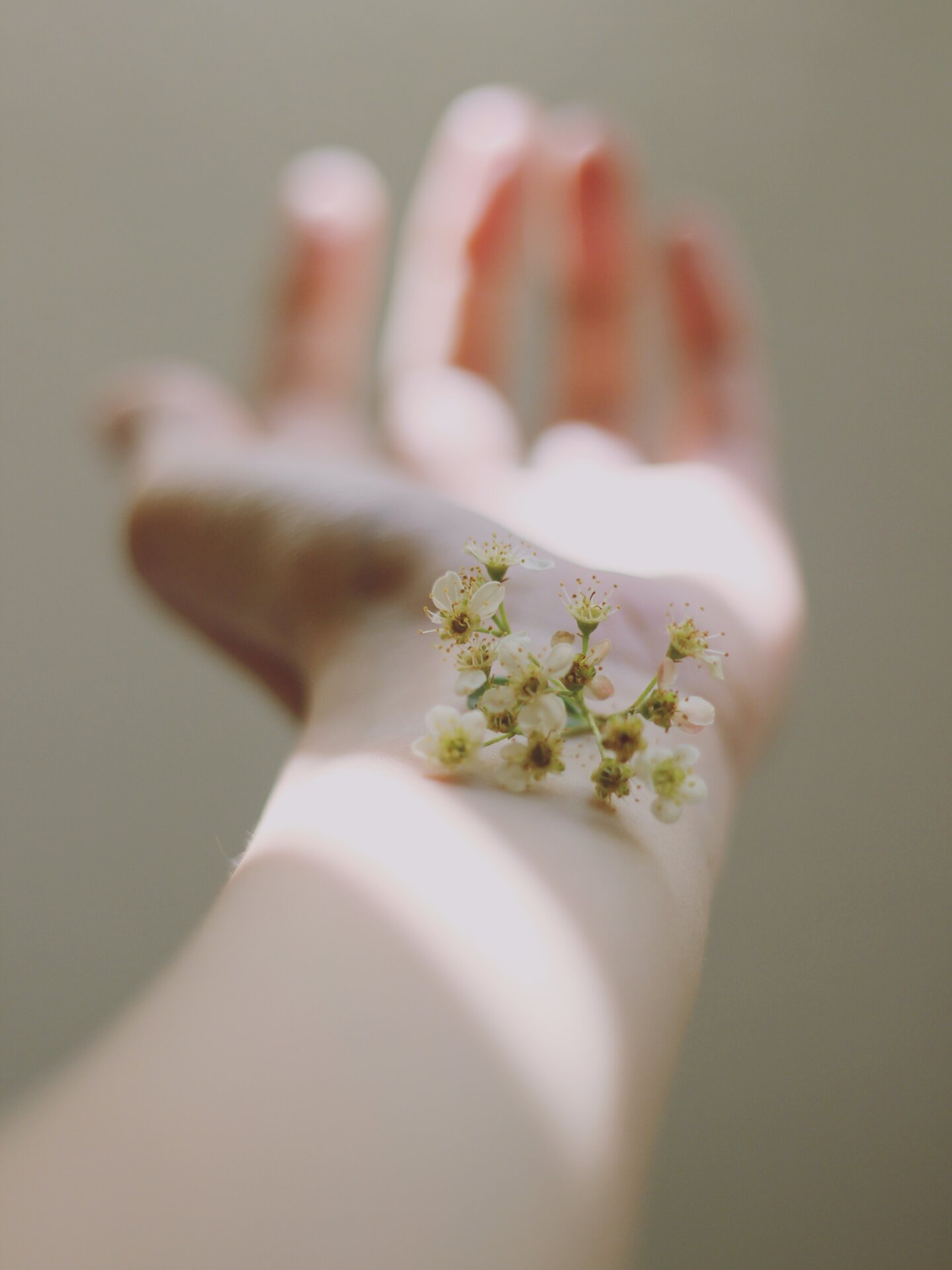 Blüten auf dem Armrücken