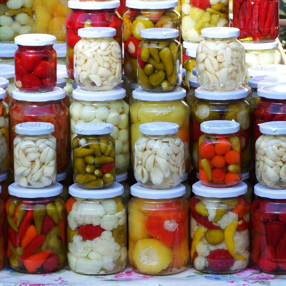 Fermentierte Lebensmittel