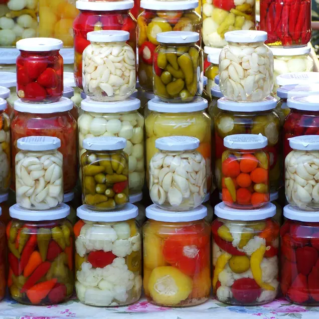 Fermentierte Lebensmittel
