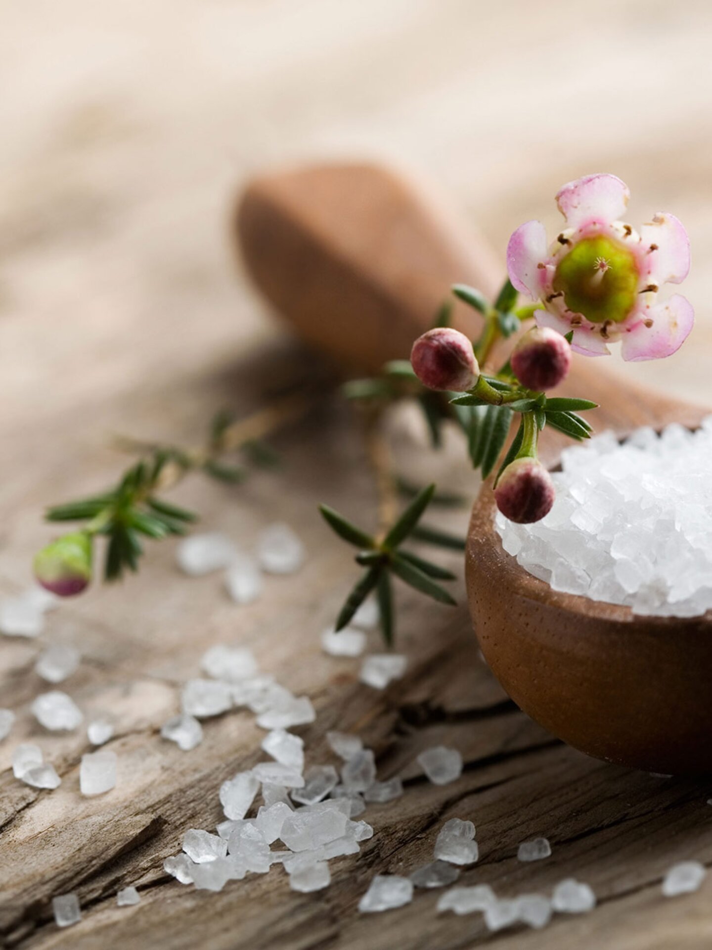 Sea salt 