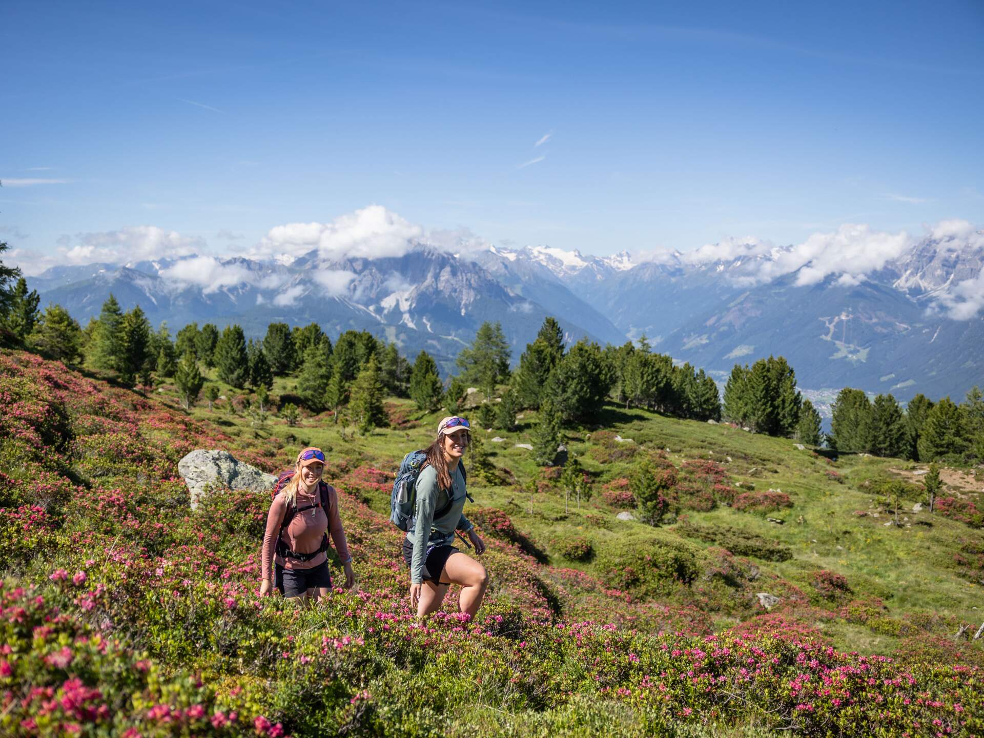 © Innsbruck Tourismus, Eye5 - Jonas Schwarzwälder Zwei Wanderinnen auf Bergpfad mit Almrosen vor Alpenpanorama | © Innsbruck Tourismus, Eye5 - Jonas Schwarzwälder