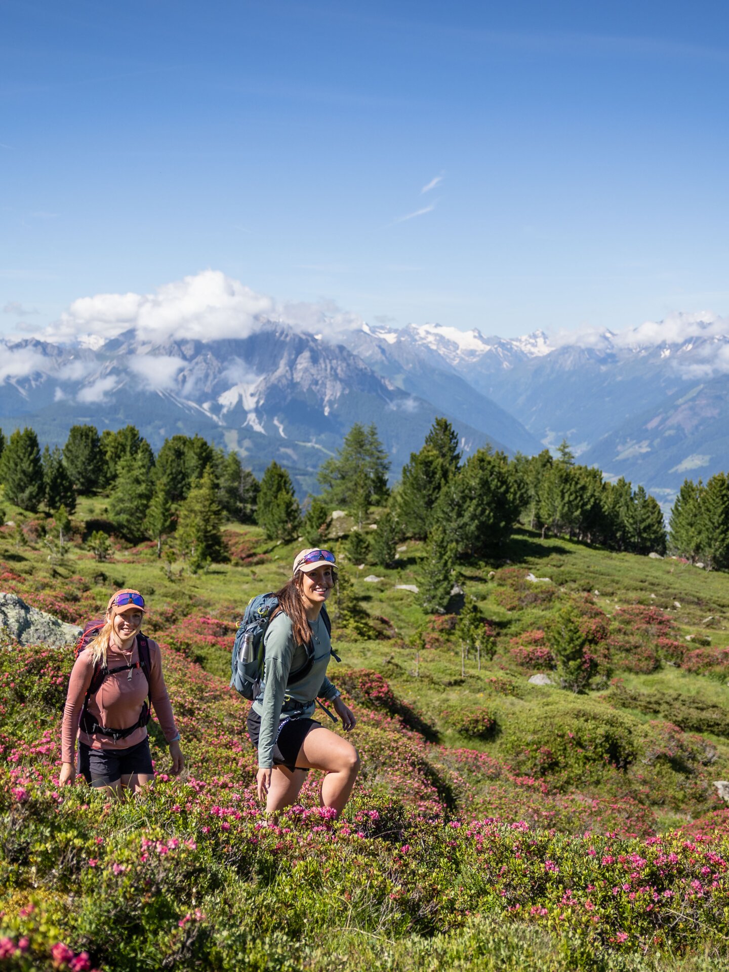 Zwei Wanderinnen auf Bergpfad mit Almrosen vor Alpenpanorama | © Innsbruck Tourismus, Eye5 - Jonas Schwarzwälder