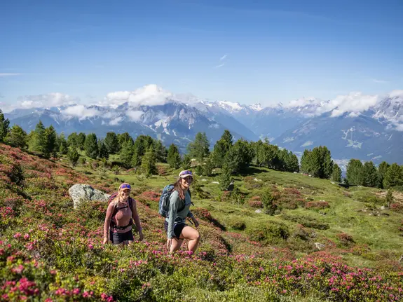 Zwei Wanderinnen auf Bergpfad mit Almrosen vor Alpenpanorama | © Innsbruck Tourismus, Eye5 - Jonas Schwarzwälder