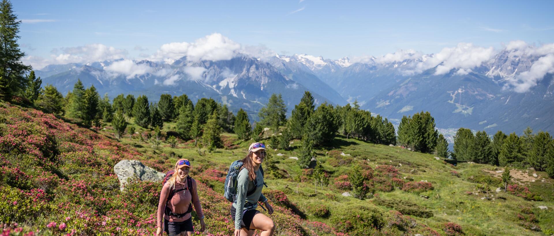 Two hikers on a mountain path with alpine roses in front of an Alpine panorama | © Innsbruck Tourismus, Eye5 - Jonas Schwarzwälder