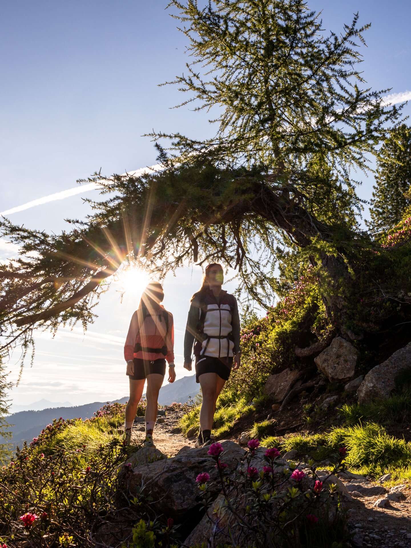 Hikers on the Zirbenweg on the Patscherkofel, sun shining through the tree | © Jonas Schwarzwälder Photography