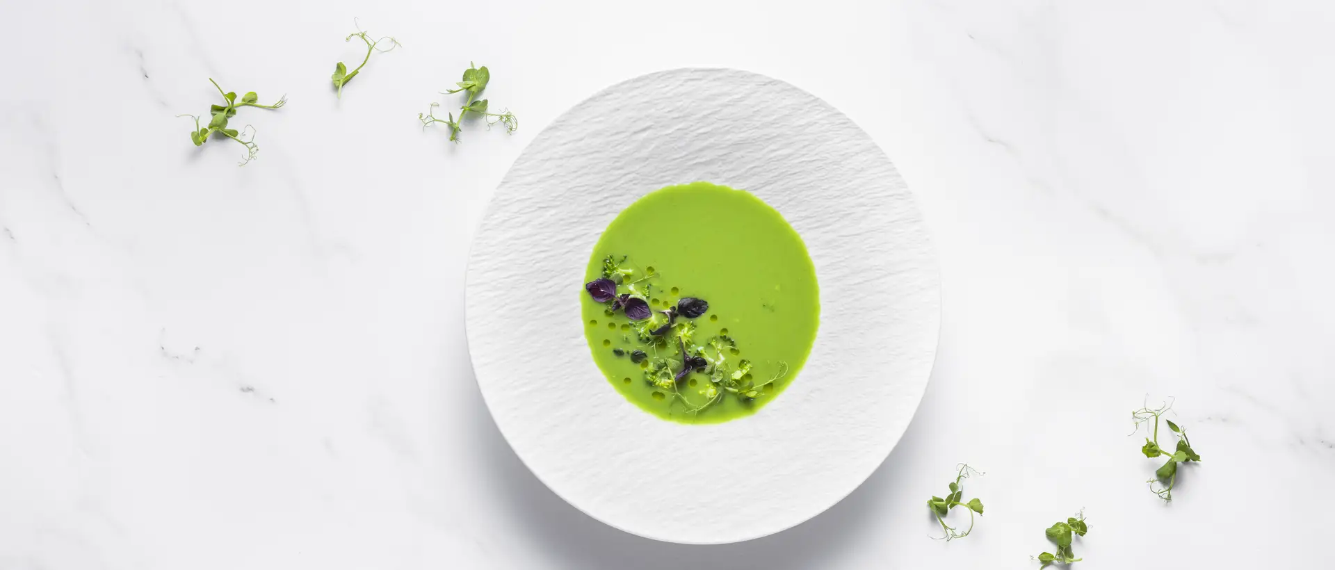 Brokkolicremesuppe