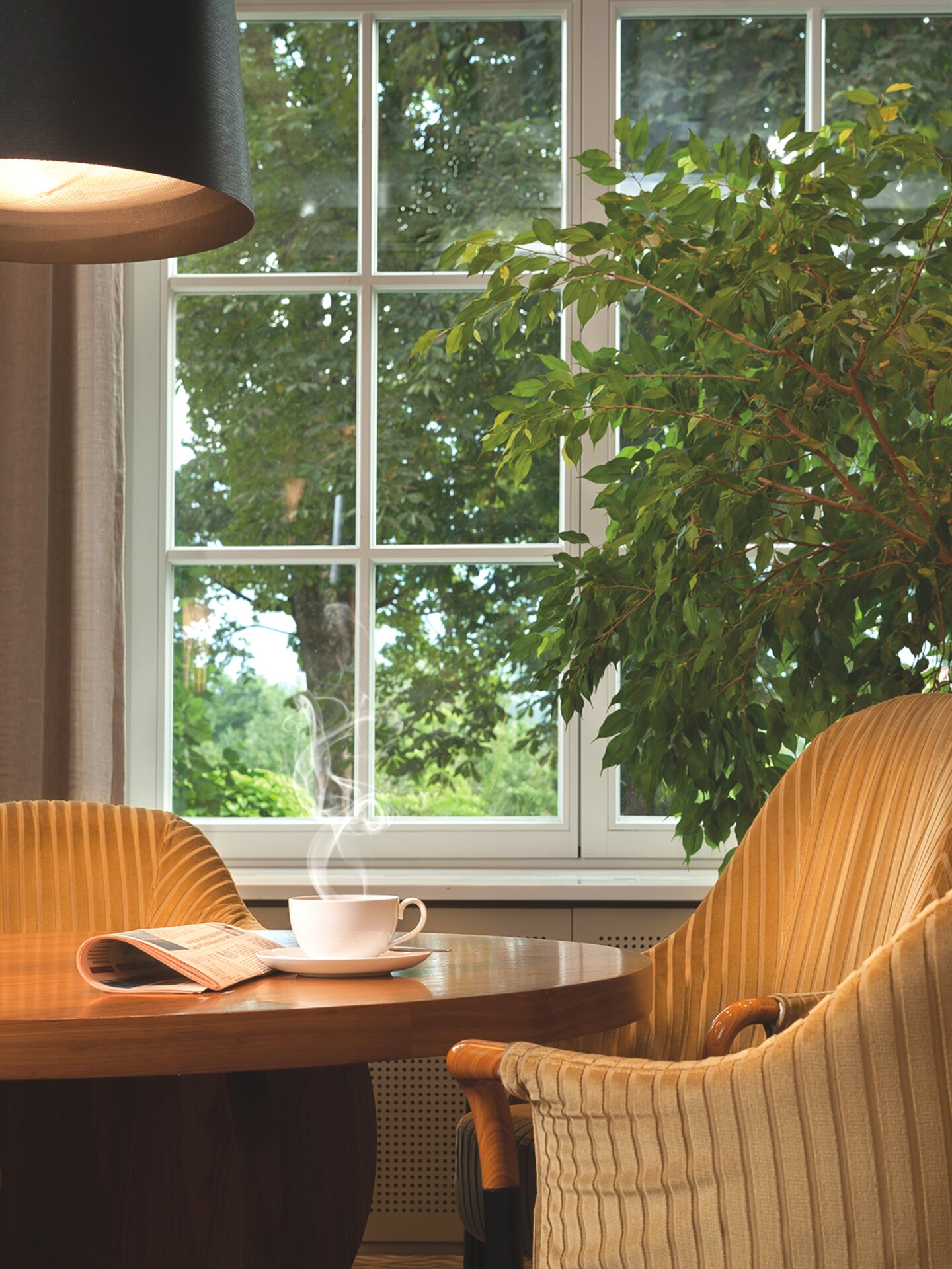 Blick in den Garten