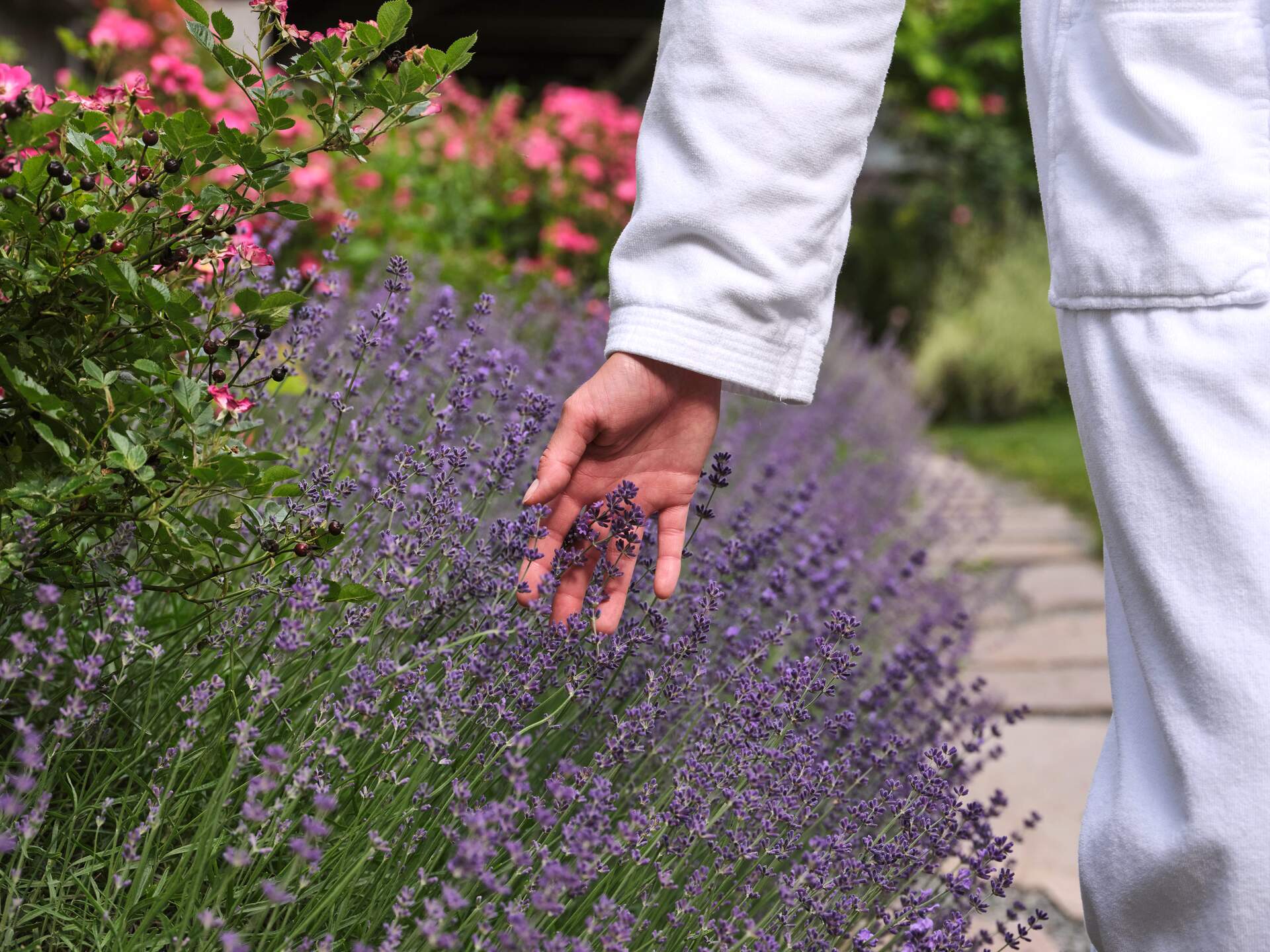 Blooming garden