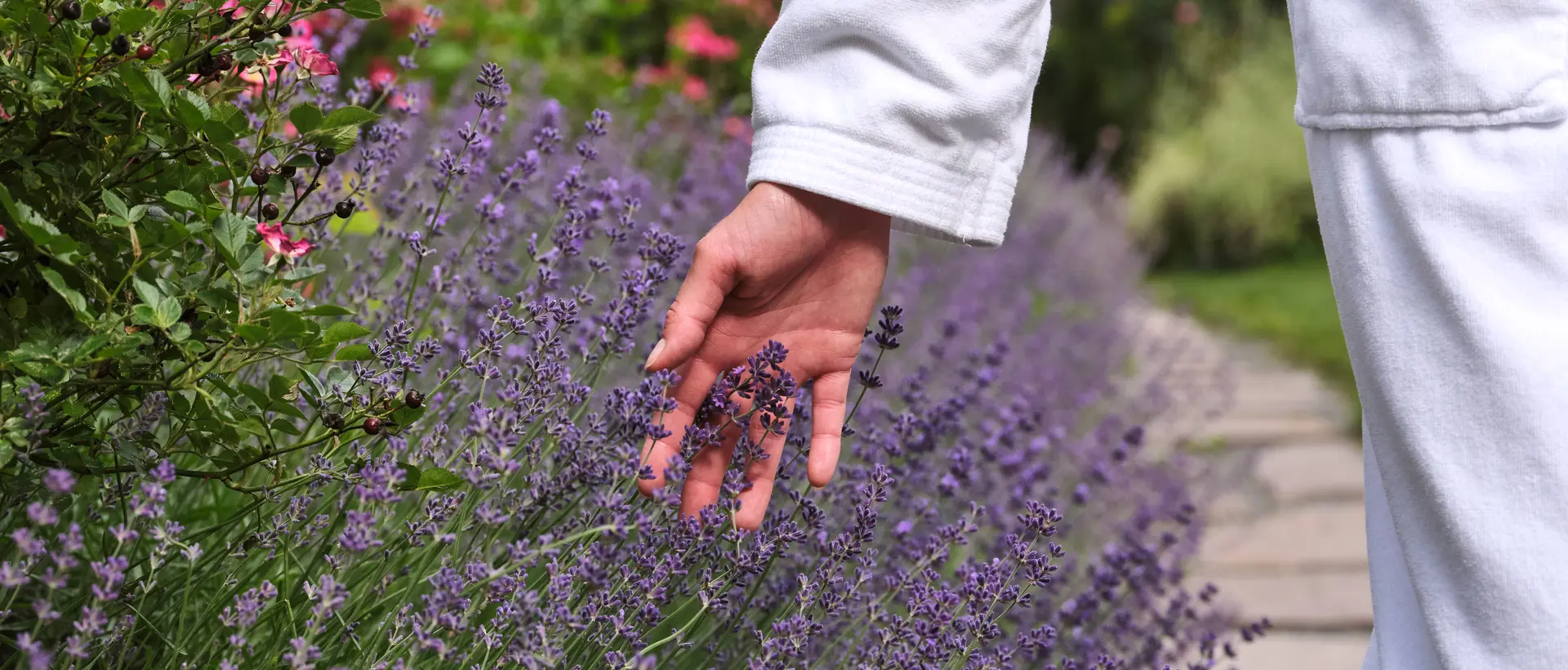 Blooming garden
