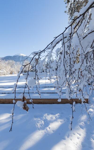 Winter garden Park Igls