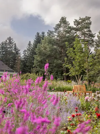Park Igls: Blumenbeet, Bank, Bäume und Gebäude unter bewölktem Himmel