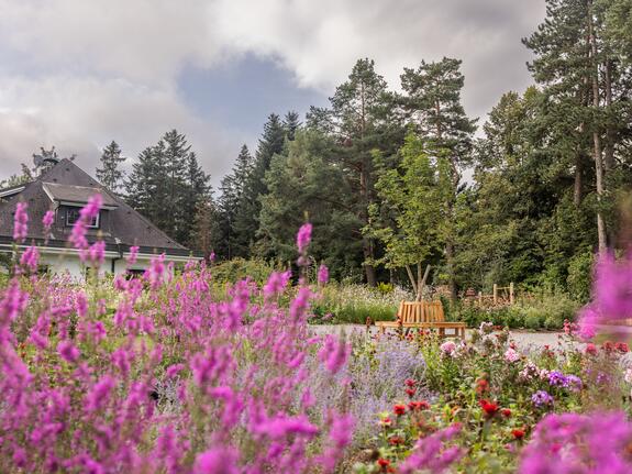 Park Igls: Blumenbeet, Bank, Bäume und Gebäude unter bewölktem Himmel