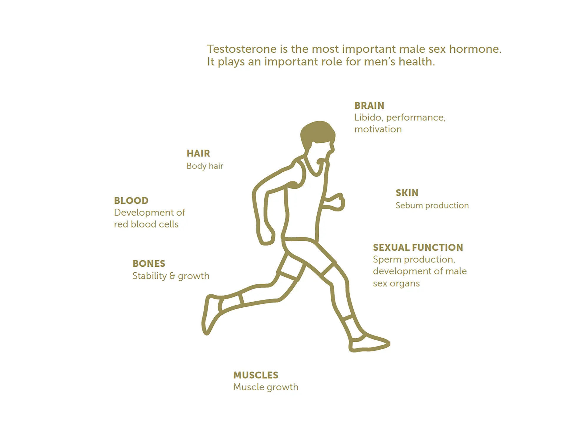Exercise illustration
