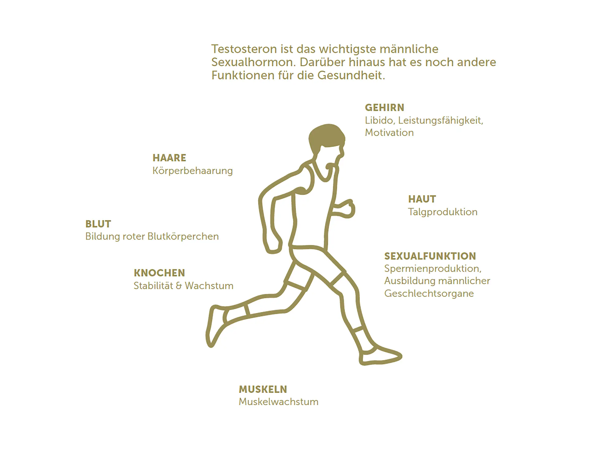 Grafik Bewegung