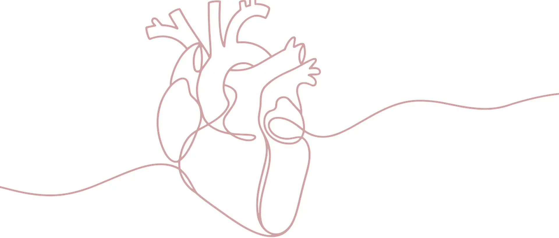 Illustration of a heart as a red line drawing, symbolising heart health
